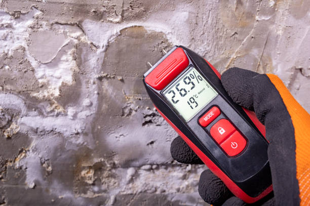 Professional Mold Removal in Columbus, IN