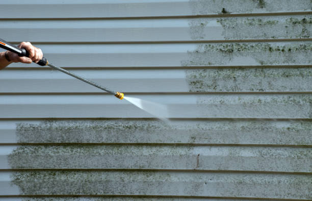 Best Commercial Mold Removal  in Columbus, IN