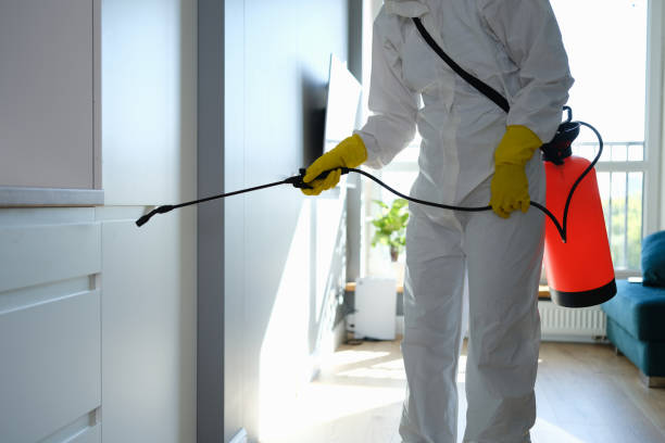 Best Residential Mold Removal  in Columbus, IN