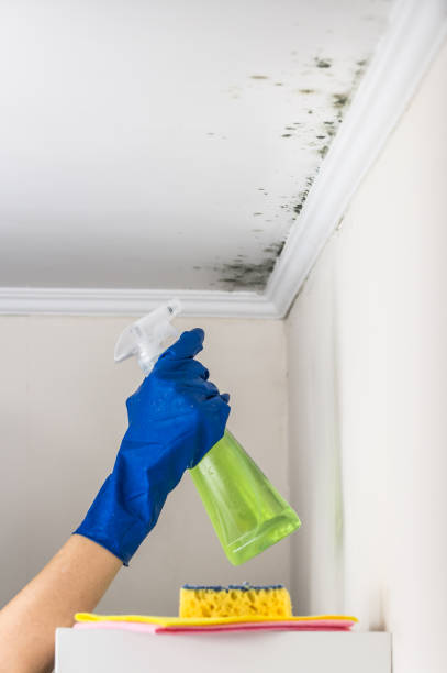Water Damage Restoration in Columbus, IN